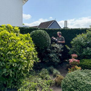 WhatsApp Image 2025-04-30 at 20.29.02