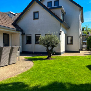 WhatsApp Image 2025-05-13 at 18.48.48 (2)