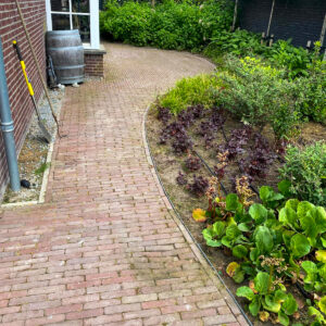 WhatsApp Image 2025-05-26 at 15.36.39