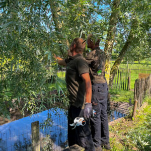 WhatsApp Image 2025-06-12 at 10.47.52 (2)