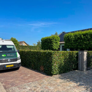 WhatsApp Image 2025-06-12 at 10.47.52 (5)