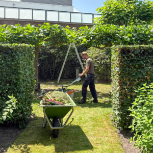 WhatsApp Image 2025-07-03 at 11.51.07 (1)