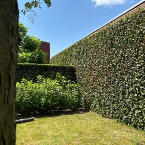 WhatsApp Image 2025-07-03 at 11.51.07