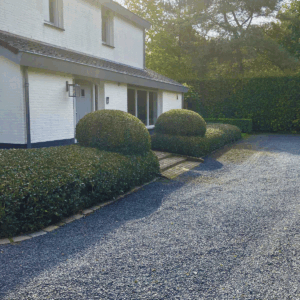 WhatsApp-Image-2025-10-02-at-18